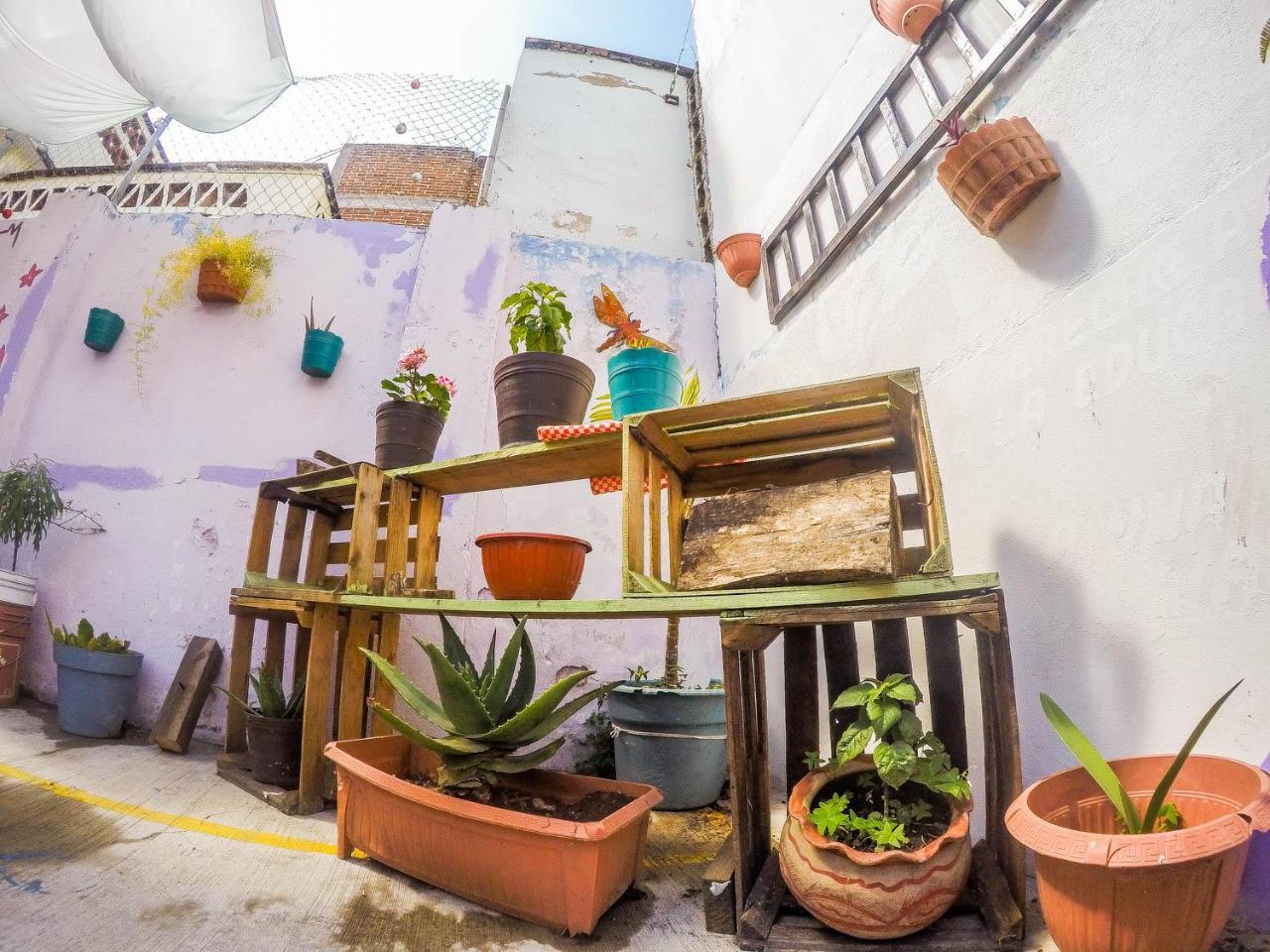 Casa Papa Chango ซานกริสโตบัล เด ลาสกาซาส ภายนอก รูปภาพ
